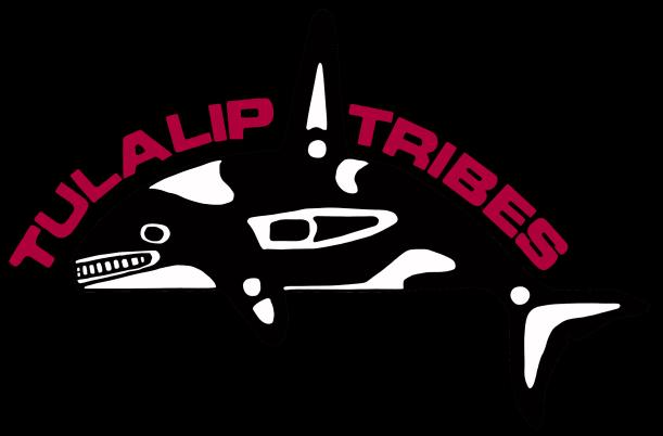 TULALIP TRIBES DRAFT COMMENTS ON THE JACKSON HYDROELECTRIC PROJECT (FERC NO.