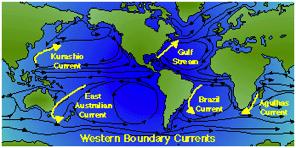 wind driven surface ocean currents UNITS - 1 sverdrup (sv) - 1 million m 3 /sec for comparison, Amazon flow ~ 0.1 sv WESTERN BOUNDARY CURRENTS narrow, deep, warm, and fast current Gulf stream (N.