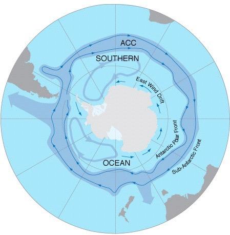 ACC Antarctic