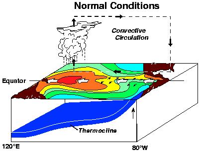 El Nino / Southern Oscillation (ENSO) A coupled tropical atmosphere-ocean phenomenon Normal conditions Warmest water, low surface pressure and persistent T-storms in W Pacific Strong subtropical