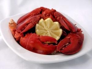 Given the average daily landings in the spring season, there is a need for PEI lobster to be shipped off-island for processing during these months. In 2012 approximately 34% 1 (9.