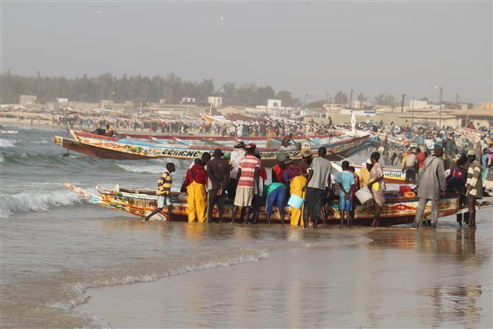 Fisheries in the region: main