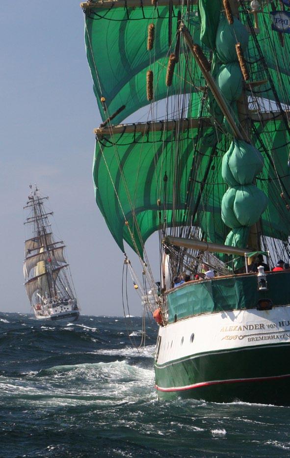 THE SPONSORSHIP OPPORTUNITY Sail Training International is actively seeking a Title Sponsor for The Tall Ships Races, ideally for a multi-year contract commencing in 2012, whose corporate and brand