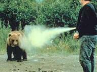 A curious bear will quickly leave when hit with pepper spray in the face; however an aggressive and charging bear might not 21 August 2014 Outdoor Safety FUNdamentals 25 When considering a firearm to