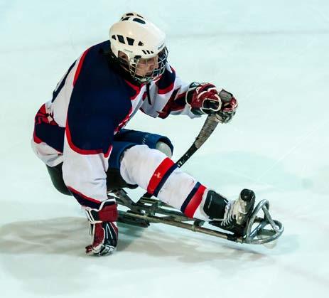 A typical Sledge Hockey player has a wrist-shot speed of between 100 and 110 km/h. How Does Your City Compare? Compare your city to Pyeongchang County in South Korea.