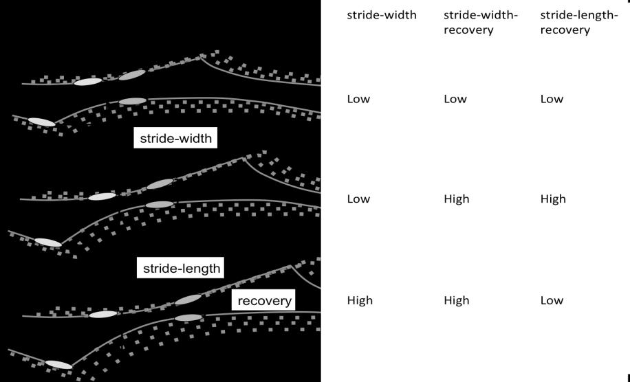 Figure 1: Stride and recovery characteristics The relationship between recovery and leg extension laterally and posteriorly was quantified using stride-width and stride-length recovery.
