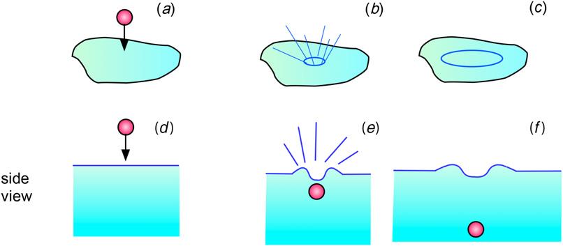 Figure 1.1. (a) (c) A small stone is dropped into a still pond and a wave is formed. ( d ) ( f ) The side view. Figure 1.2. A string forms a pulse wave when the hand quickly moves up and then down.