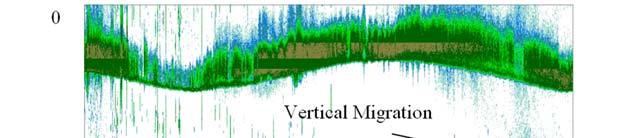 Fish schools were detected near the sea bottom. Figure 5. Acoustic backscatter at 200 khz on June 29, 2008.