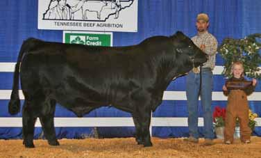 SSMK FIXED ON ME PB GV Cow Red Polled Reg.