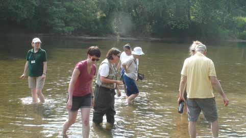 The Volunteer Mussel Survey Program The Partnership for the Delaware Estuary (PDE) is working with watershed organizations and academic partners to return freshwater mussels to streams that can