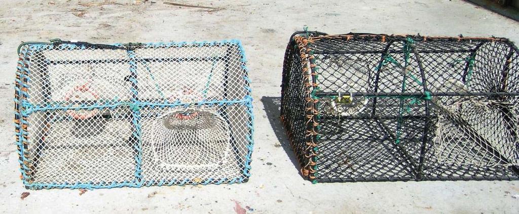 For the needs of sampling, creels were imported from Scotland, where they are used to catch Norway lobster in relatively shallow waters (Figure 3).
