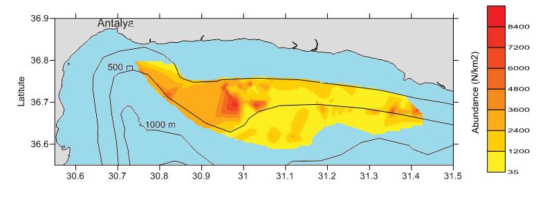 Figure 10. Abundance (N/Km²) and biomass (Kg/Km²) of Helicolenus dactylopterus in the Antalya Bay. The Italian distant fisheries in the Central Eastern Mediterranean.