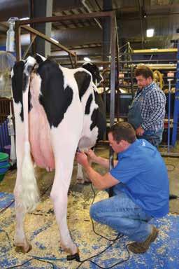 At the World Classic 15 Holstein Sale Gil-Gar Sshot Faith-ET, a Supershot daughter, was sold for