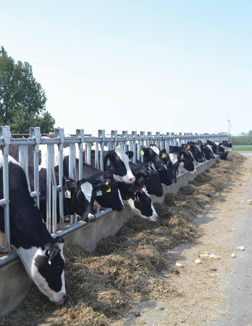 Breeding More Productive Holsteins This Washington dairy uses genomic testing to build a better herd of Holsteins BY SUSAN HARLOW Once George DeRuyter and Sons Dairy LLC in Outlook, Washington,