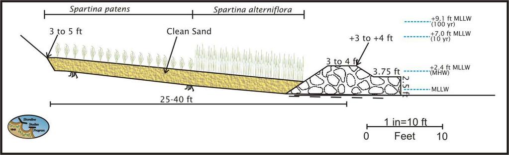 Figure 2. Typical cross-section for a high sill that is appropriate for the medium to high energy shorelines of City of Suffolk.