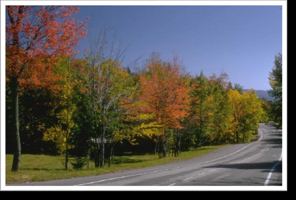 Miles of Roadways Improved There are approximately 24 miles of primary roads; 43 miles of local roads (of which about 19 miles are gravel); and, 40 miles of subdivision roads for a total of about 107