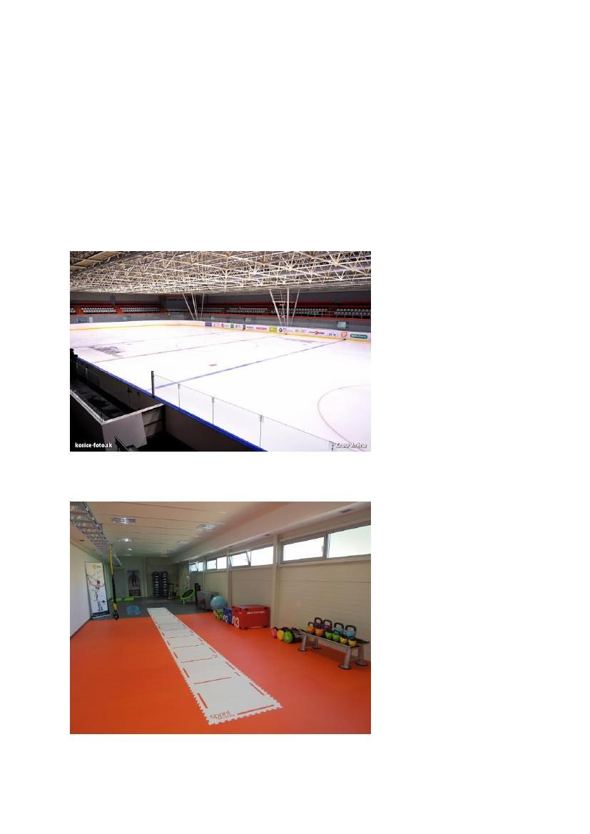 Lunch & Dinner in the restaurant on the Ice ring, breakfast at the hotels. Head coach: CAMP I.+ CAMP II.
