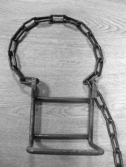 5.6 Tree Steps Tree steps are lightweight metal platforms that include a length of chain to attach them to the tree bole (Figure 5h).