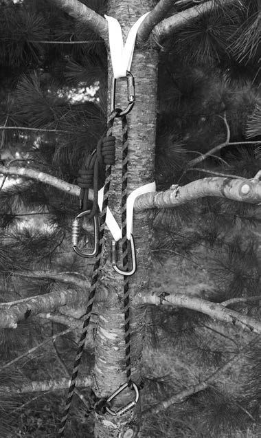 6.3 Four Inch Tie-In System A 4-inch tie-in is a self-belayed rope system required when climbing and working above the 4-inch bole diameter of a tree.