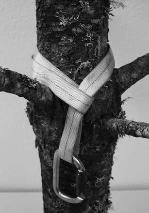 (Commercially sewn loops of cord or spliced eye to eye cords can also be used) Softer cord is preferred for the prusik loop to ensure a solid grab on the belay rope in the event of a fall. 5.