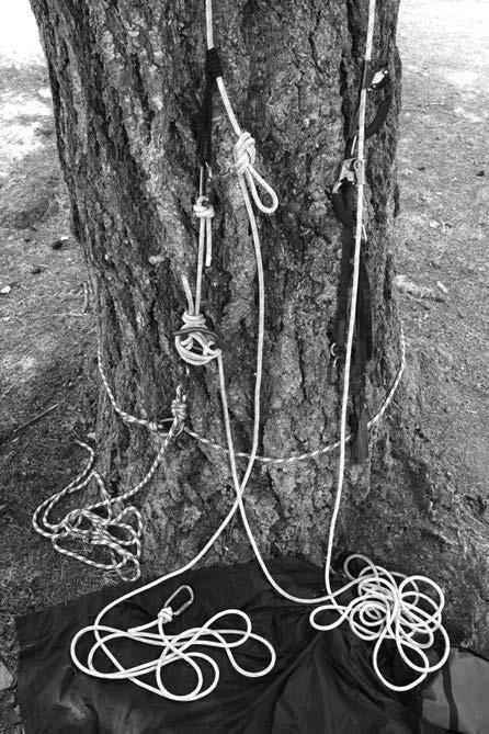 Run this rope through the belay/lowering device and take up the slack (Figure 8g). Once the belay is set untie or cut the original tie-off and lower the climber (Figure 8h).
