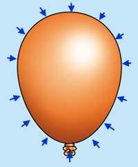 Compare the volume of the canister of gas with the volume of the 50 balloons. 6. After several days, the helium balloons are almost deflated. What is happening? 7.