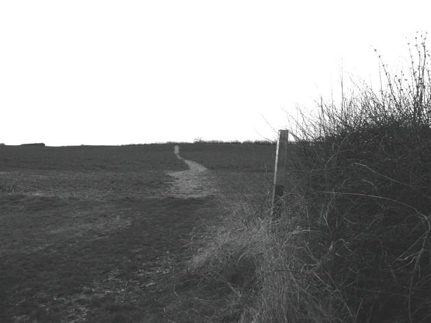 of the hill and yellow post beyond (photograph 8c).