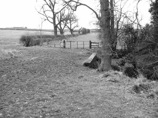 At the yellow post, cross the stile and go straight across the farm track