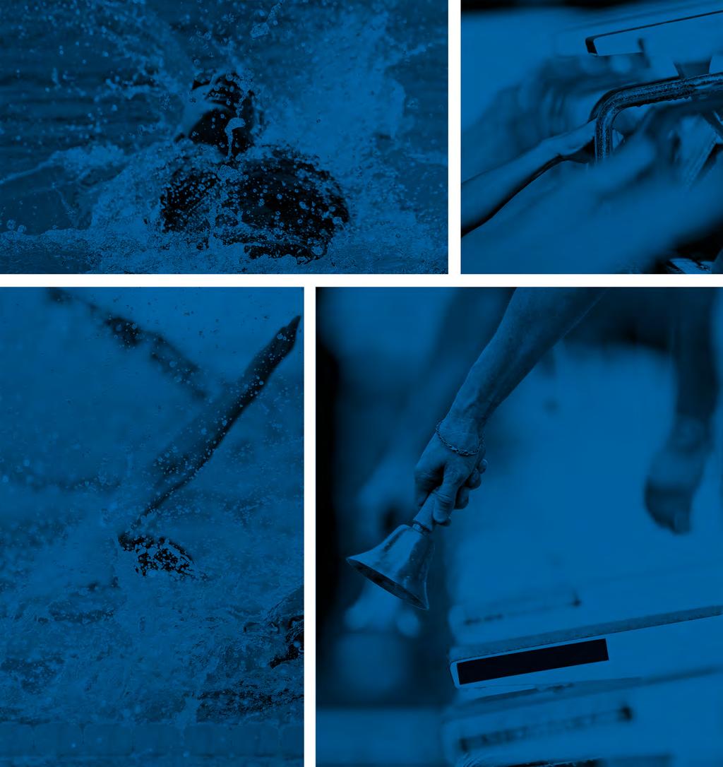 FINA Brand Graphics Blue colour photo treatment Whenever photos are used as a generic background where they play secondary