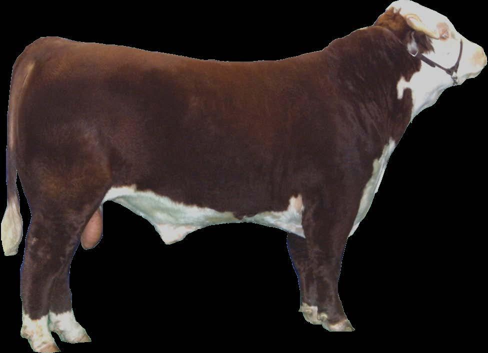 Kentucky 4-H Livestock