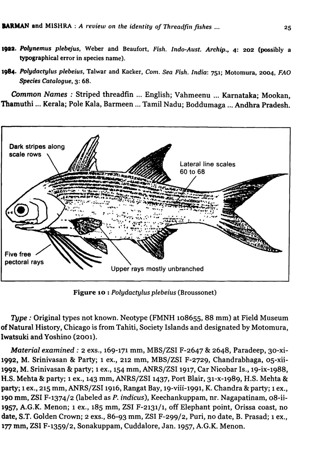 MRMAN and MISHRA : A "eview on the identity of Threadfin fishes... 25 1912. Polynemus plebejus, Weber and Beaufort, Fish. Indo-Aust. Archip., 4: 202 (possibly a typographical error in species name).