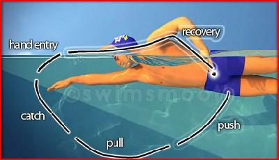 The speed at which you can swim continuously without lactate build up in your blood stream.