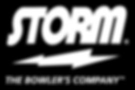 LOGO USE & BRAND COLORS BRAND COLORS Do not alter the Storm logo or bolt icon in proportion, orientation or color without approval from Storm.