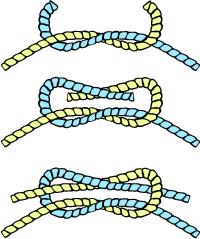 KNOTS and Why