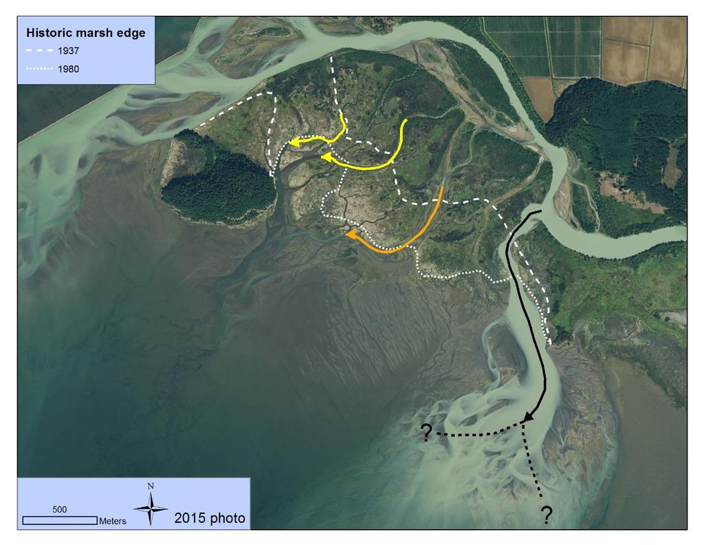 Figure 8. Past and current tidal marsh edge and distributary channel patterns in the North Fork tidal delta. The yellow and orange arrows show the right hand (westerly) turn of distributaries.