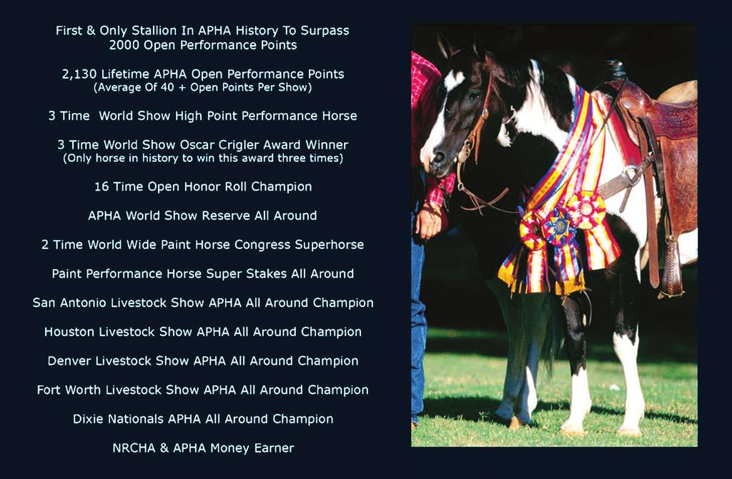Strait From Texas accomplishments The reined cow horse record for Strait Gunsmokensugar includes the High Desert Classic Western Spectacular Limited Open and 2000 Limited Open Championships.