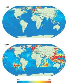 orange roughy stocks, etc Substantial increase in high seas fishing capacity o China, South Korea,