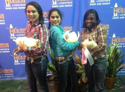 one senior and two junior Livestock Judging Teams to Houston.
