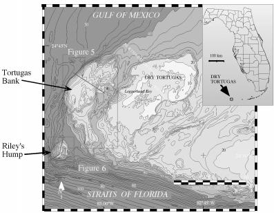Figure 3. Map showing the location of the Dry Tortugas, Tortugas Bank, and RileyÕs Hump. Also shown are the locations of the seismic profiles illustrated in Figures 4 and 5.