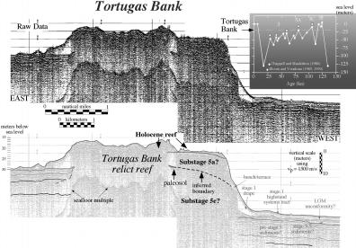 Figure 5. High resolution seismic profile across Tortugas Bank (see Figure 2 for the location). Raw data are shown at the top and an interpretation is presented below that.