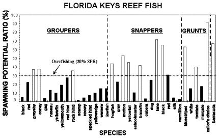 Figure 12. Status of the snapper-grouper complex in the Florida Keys (from Ault et al. 1998).