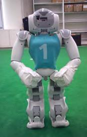 top style used at RoboCup 2013/2014 and should cover approximately the same areas of the robot as shown in Figure 6. The torso LED must be clearly visible.