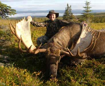 This quality moose hunt is the best of the luxury hunting opportunity for moose and has produced some exceptional