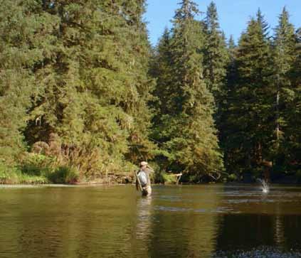 Remote, fly-in and boat-in, fishing trips in idyllic settings amongst majestic old growth forests and