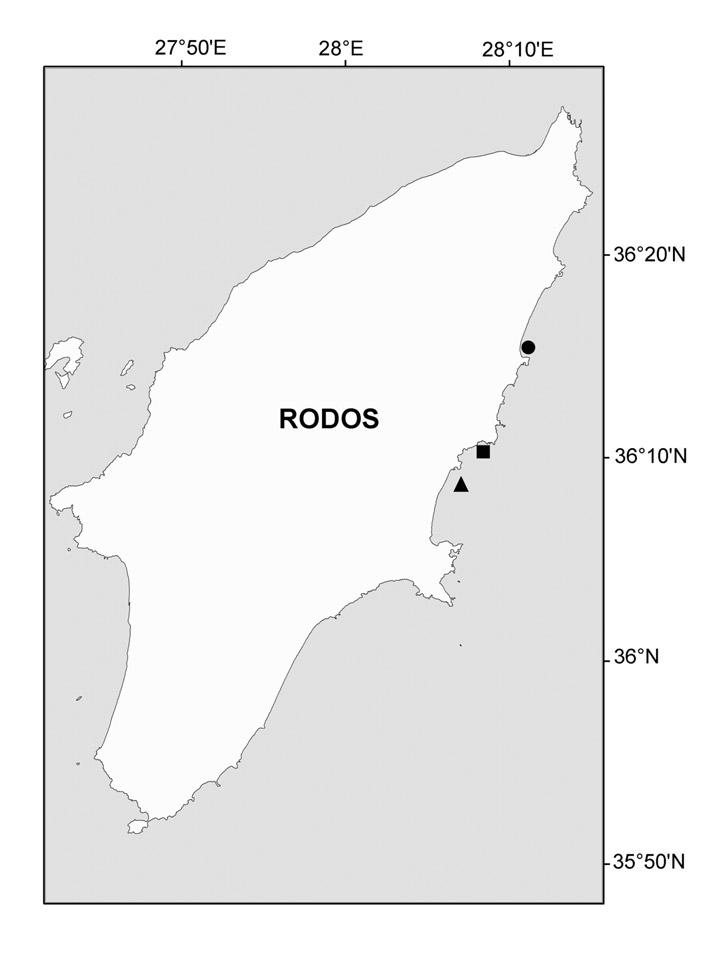 with a wide Indo-Pacific distribution: the Red Sea (SPIRIDONOV & NEUMANN, 2008), the Persian Gulf (Arabian and Iranian coasts, Gulf of Oman), the East African coast, Madagascar, Western Indian Ocean