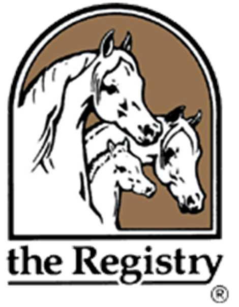 History of the Association In 2003, the Arabian Horse Association incorporated as a 501(c)(5) organization through a merger of the Arabian Horse Registry of America (founded 1908) and the