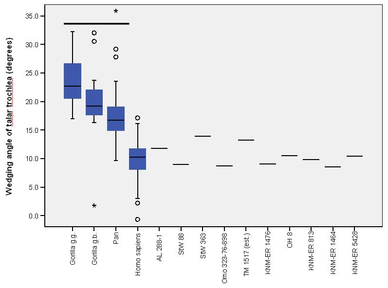 Figure 4.9. Degree of wedging in the hominin talus. Figure 4.9. Boxplots of the talar wedging angle show the median (black bar), interquartile ranges (blue/gray), and overall ranges of the data.