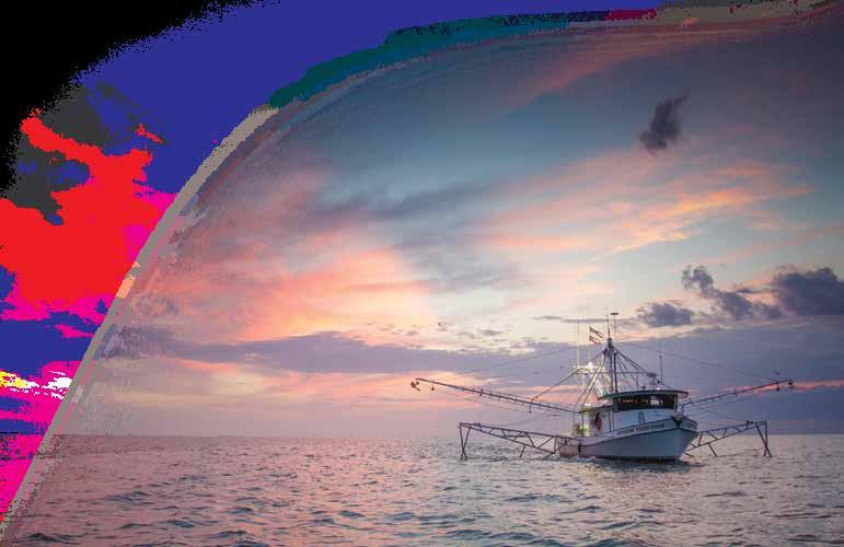 Alabama Marie Resources Divisio Eforcemet Sectio Creel Limit Ispectios Commercial Gear Ispectios Recreatioal Fishig Surveys Public Access Costructio Oyster Reef Ehacemet Coservatio for the Future