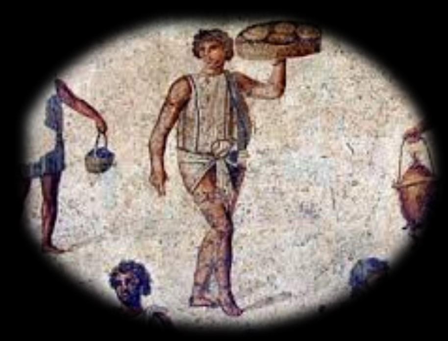Who were the Gladiators? : Class : Discover : the types of people who fought as gladiators Explore : the concept of a professional gladiator Skill : Knowledge and understanding.