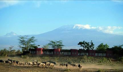 DAYS 14/15~TUESDAY/WEDNESDAY~JUNE 26/27 AMBOSELI NATIONAL PARK / MOUNT KILIMANJARO Today s drive takes you to Amboseli National Park located at the foot of Africa's highest mountain, Mount